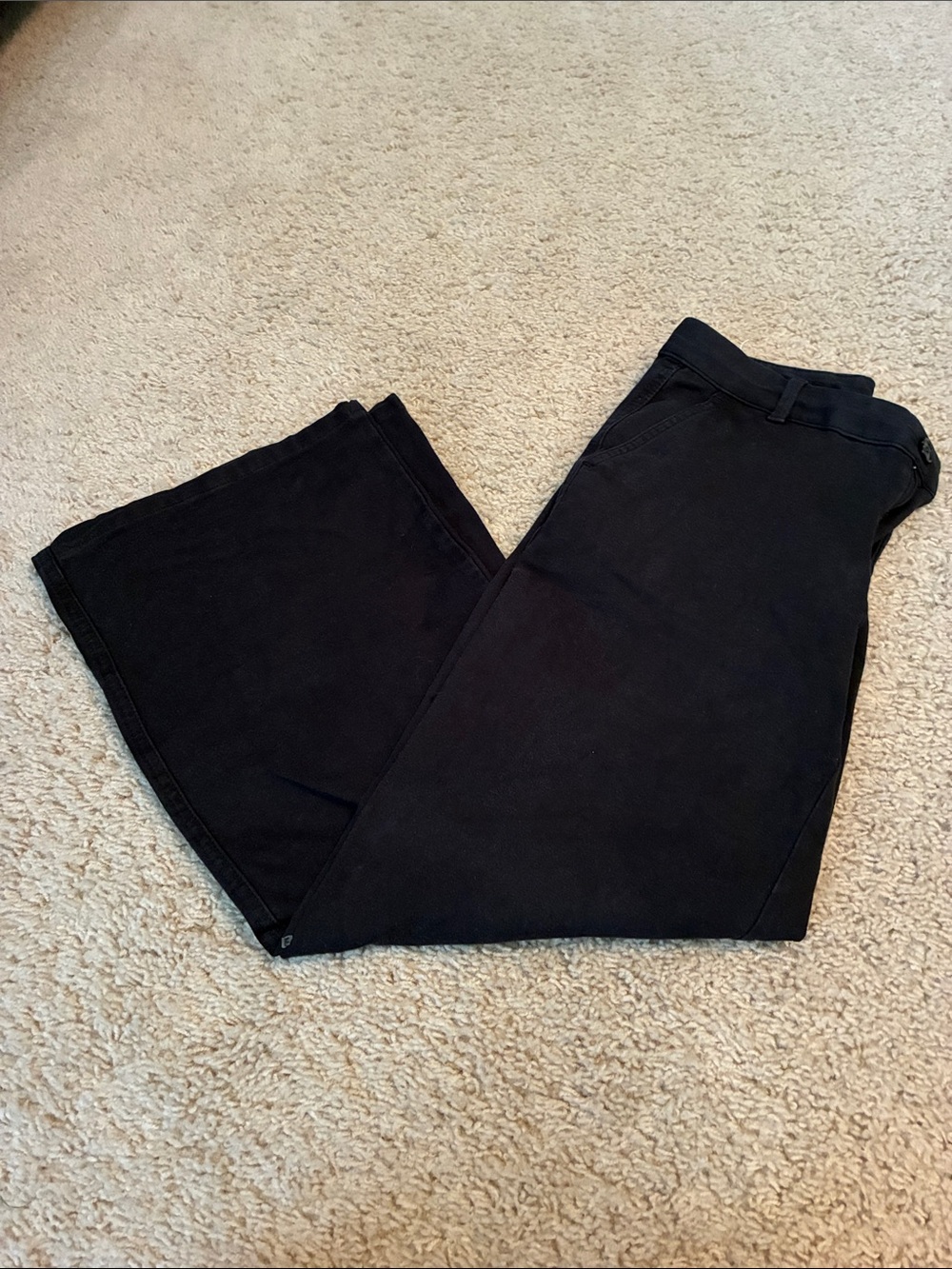 GAP Wide-Leg Chinos (size 2 short)